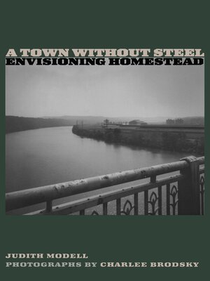 cover image of A Town Without Steel